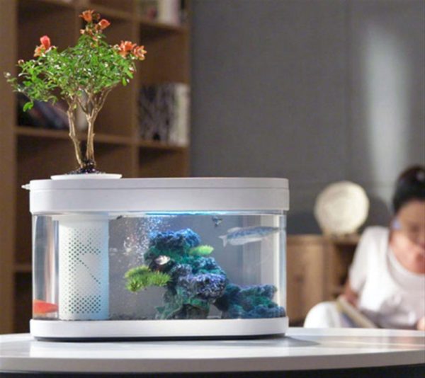 Xiaomiが熱帯魚水槽 オールインワン型の Geometry Fish Tank はデザイン性も高くリビングに置きたいアイテム 物欲ガジェット Com