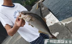伊豆大島台風旅行記 その1 東京からジェット船わずか1時間45分で着くリゾート 伊豆大島 に行ってみた 物欲ガジェット Com 伊豆大島台風旅行記 その1 東京からジェット船わずか1時間45分で着くリゾート 伊豆大島 に行ってみた 物欲ガジェット Com