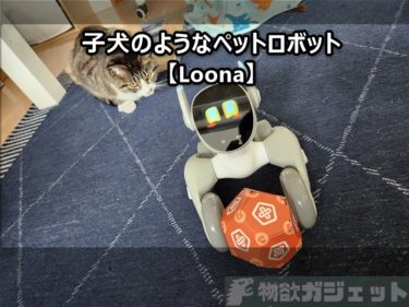【Loona（ルーナ)レビュー】表情豊かで感情表現ができ、飼い主を追いかけたりボールと遊んだりとやんちゃな子犬のようなペットロボット